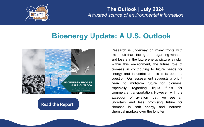 The Outlook | July 2024